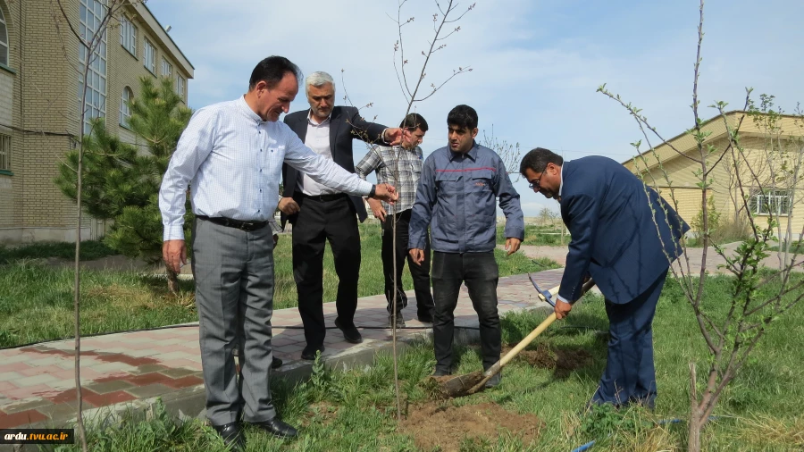 آیین کاشت ۴۰ اصله نهال آلبالو در محوطه آموزشکده فنی و حرفه ای پسران اردبیل برگزار شد 6