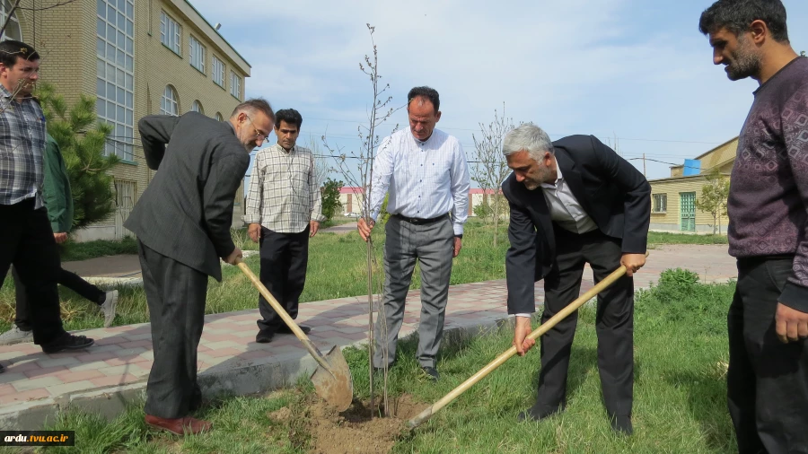 آیین کاشت ۴۰ اصله نهال آلبالو در محوطه آموزشکده فنی و حرفه ای پسران اردبیل برگزار شد 7