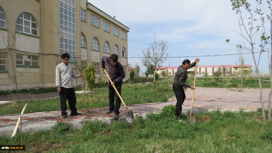 آیین کاشت ۴۰ اصله نهال آلبالو در محوطه آموزشکده فنی و حرفه ای پسران اردبیل برگزار شد 11