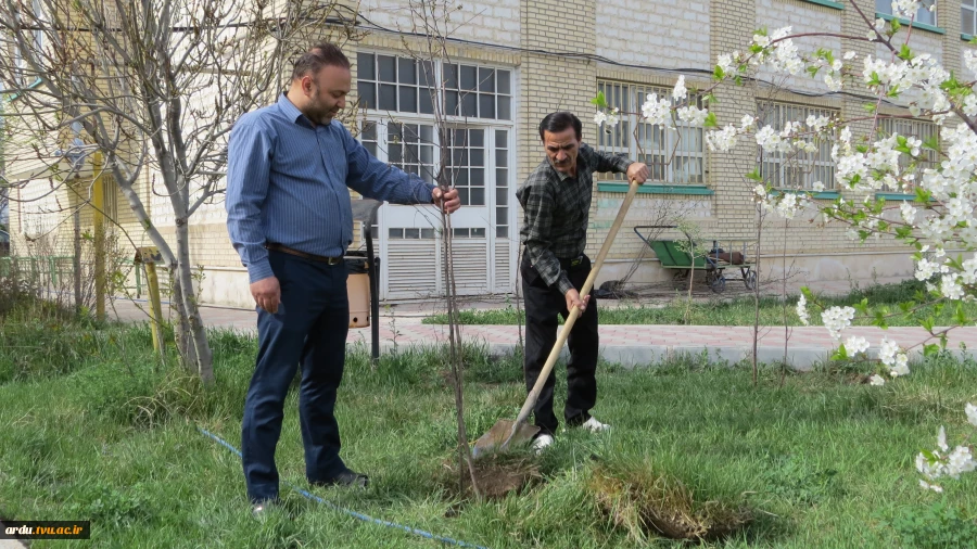 آیین کاشت ۴۰ اصله نهال آلبالو در محوطه آموزشکده فنی و حرفه ای پسران اردبیل برگزار شد 12